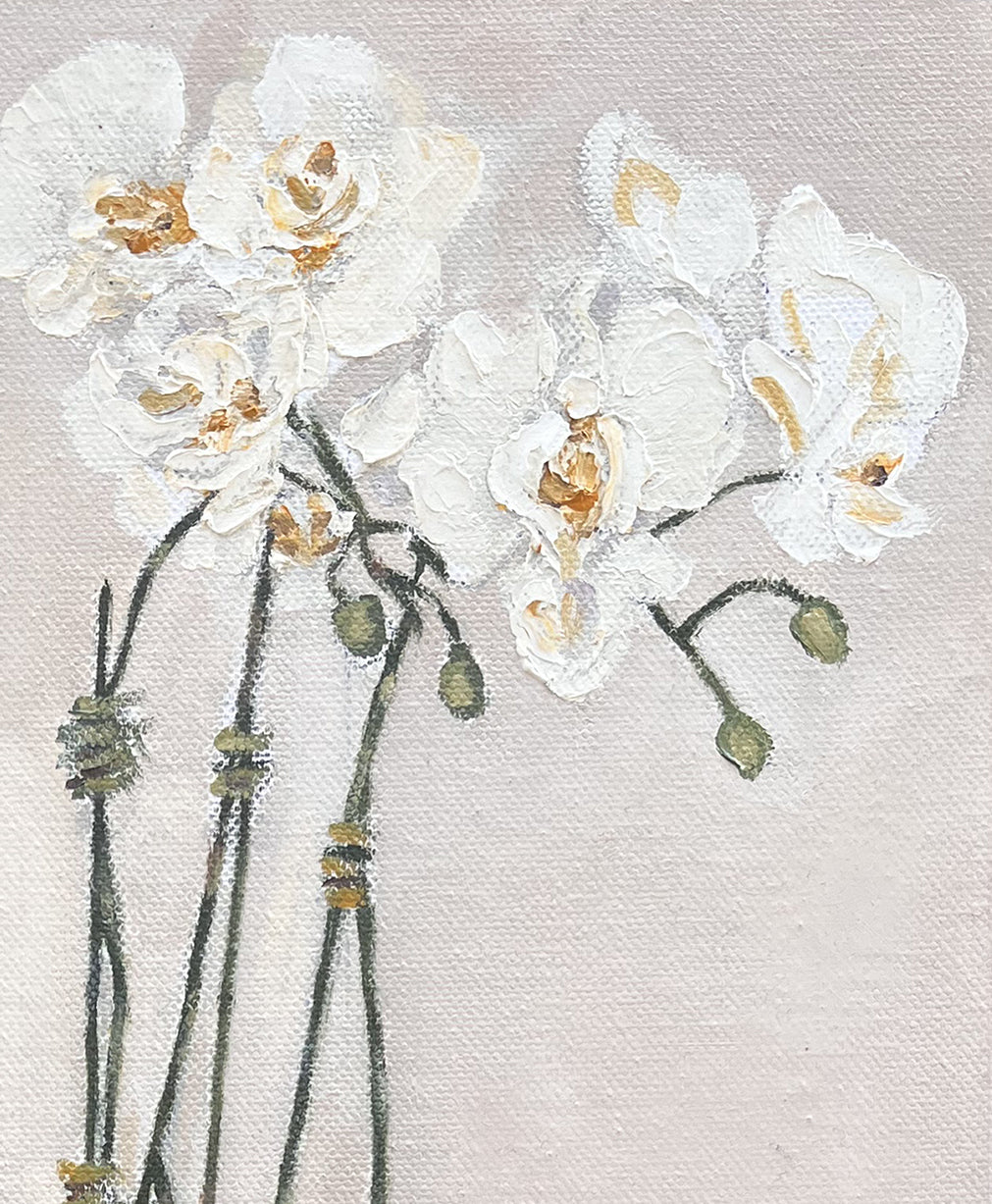 Orchids in blue and white chinoiserie planter