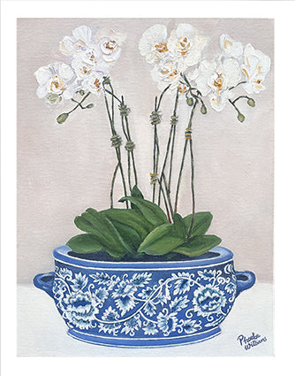 Orchids in blue and white chinoiserie planter