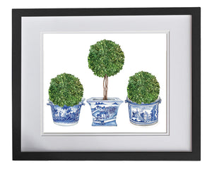 Print of three topiary trees in blue and white antique pots