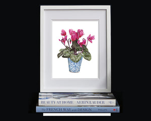Print of a pink cyclamens in small blue and white pot