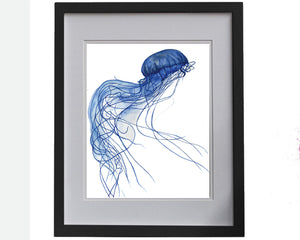 Print of a jellyfish in blue accents