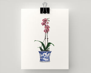 Print of a pink orchid in a blue and white pot