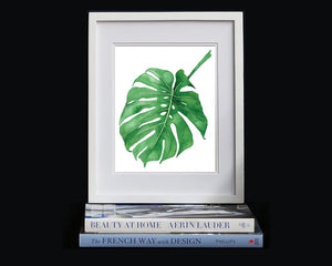 Print of a Philodendron plant