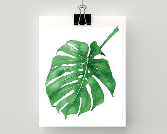 Print of a Philodendron plant
