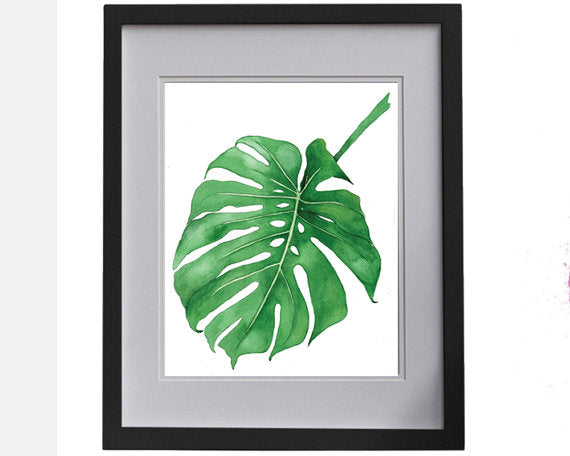 philodendron leaf print Print of a Philodendron plant