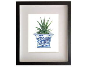 Blue and white chinoiserie square planter with succulent cactus