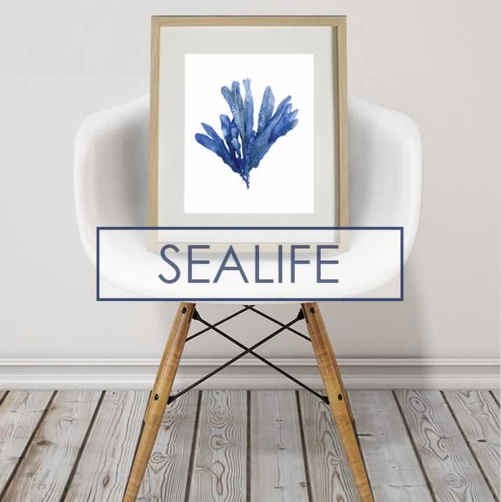 PRINTS - SEALIFE & NAUTICALS