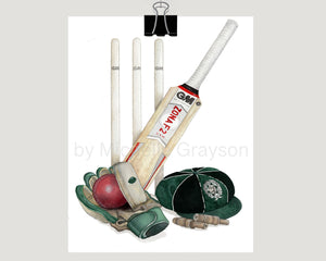 BBC College Cricket print