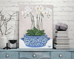 Orchids in blue and white chinoiserie planter