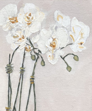 Orchids in blue and white chinoiserie planter