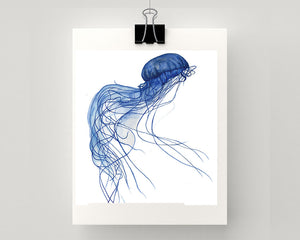 Print of a jellyfish in blue accents