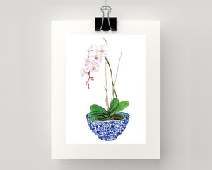 Print of a single pale pink orchids in blue and white chinoiserie bowl