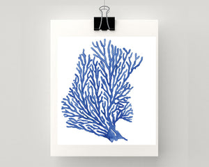 Print of seaweed /seafan in blue accents