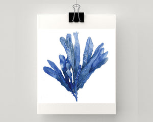 Print of seaweed in blue accents