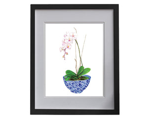 Print of a single pale pink orchids in blue and white chinoiserie bowl