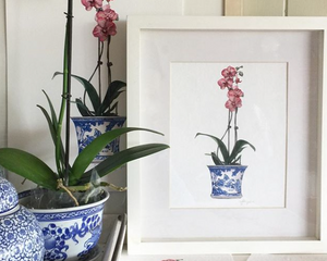 Original Watercolour of Pink Phalaenopsis Orchid In A Blue and White Pot