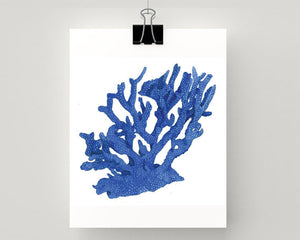 Print of coral in blue accents