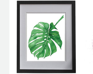 Print of a Philodendron plant