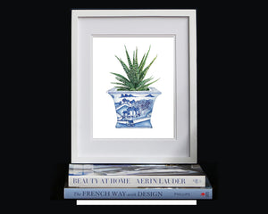 Blue and white chinoiserie square planter with succulent cactus