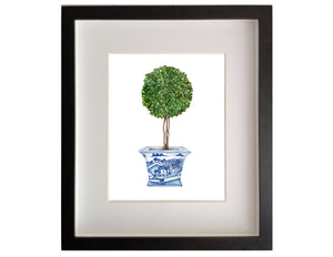Print of topiary tree in blue and white pot