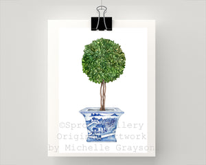 Print of double ball topiary tree in blue and white pot